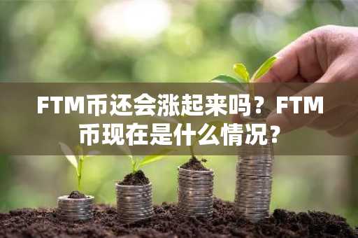 FTM币还会涨起来吗？FTM币现在是什么情况？