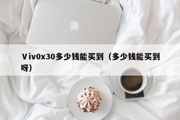 Ⅴiv0x30多少钱能买到（多少钱能买到呀）