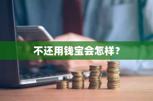 不还用钱宝会怎样？
