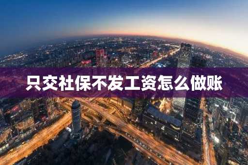 只交社保不发工资怎么做账