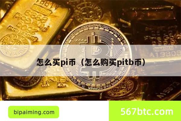 怎么买pi币（怎么购买pitb币）