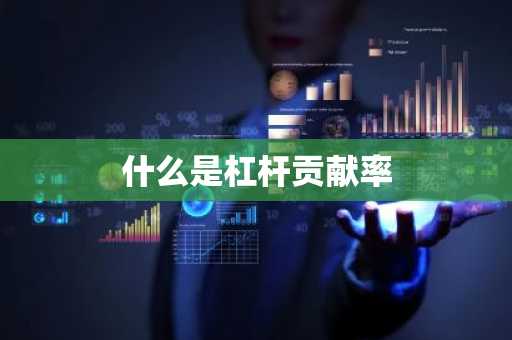 什么是杠杆贡献率