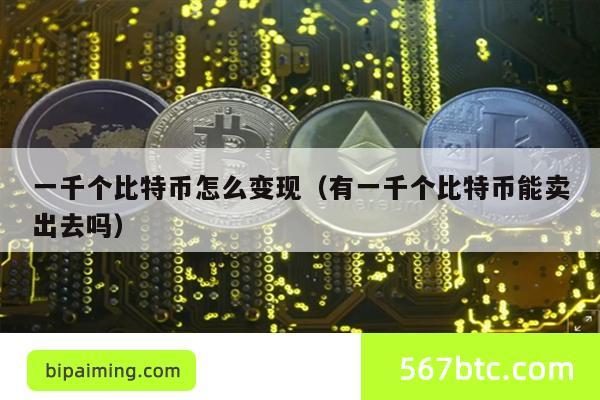 一千个比特币怎么变现（有一千个比特币能卖出去吗）