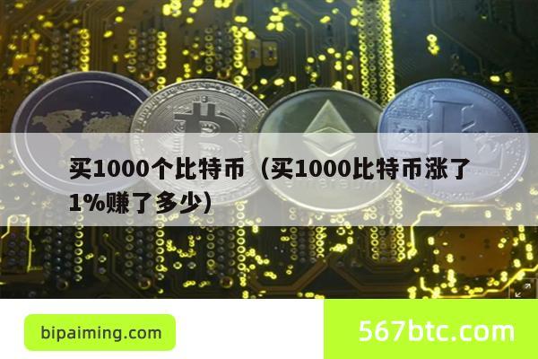 买1000个比特币（买1000比特币涨了1%赚了多少）