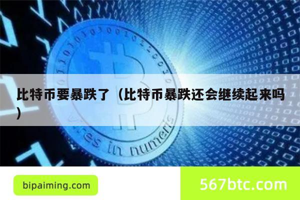 比特币要暴跌了（比特币暴跌还会继续起来吗）