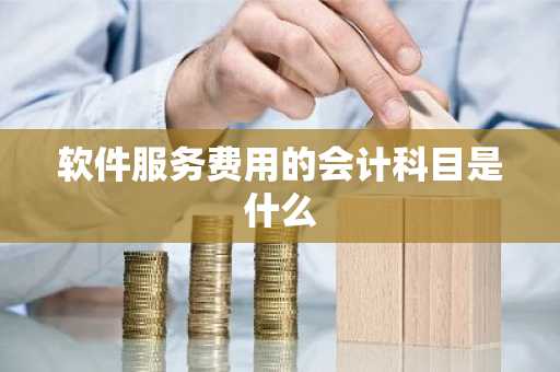 软件服务费用的会计科目是什么