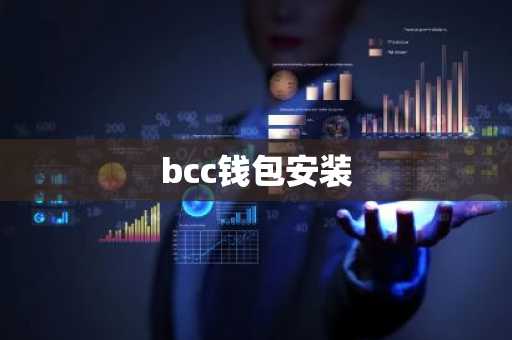 bcc钱包安装
