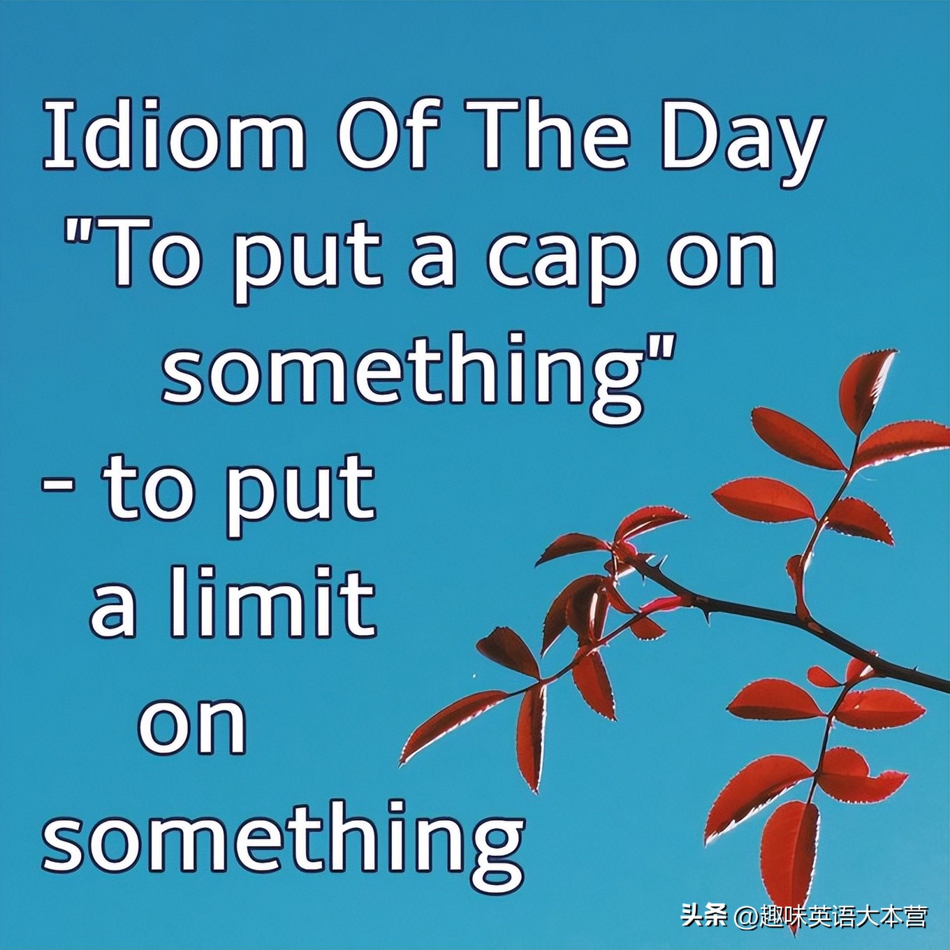 putonacap怎么读（putoncap用英语怎么说）