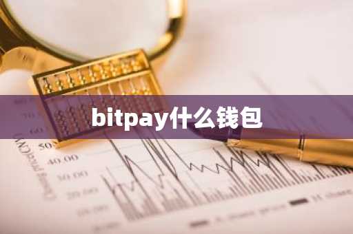 bitpay什么钱包