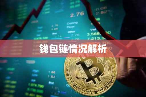 钱包链情况解析