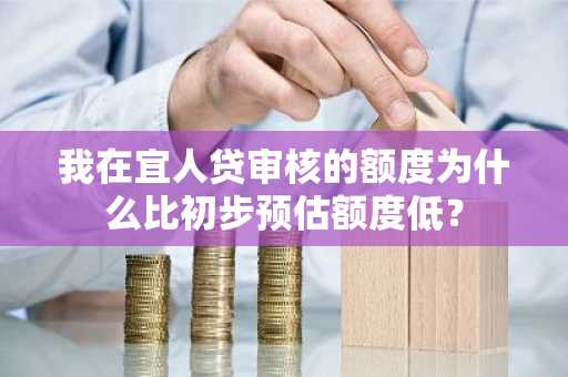 我在宜人贷审核的额度为什么比初步预估额度低？