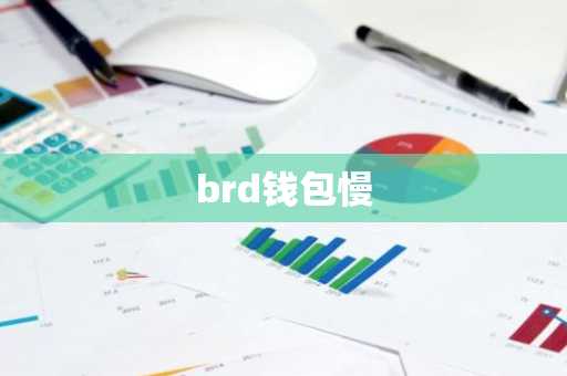 brd钱包慢