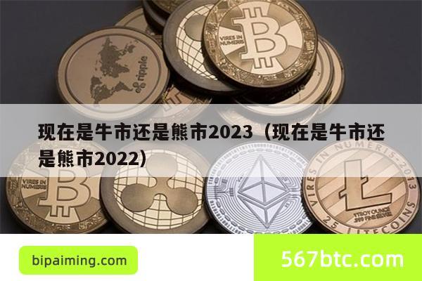 现在是牛市还是熊市2023（现在是牛市还是熊市2022）
