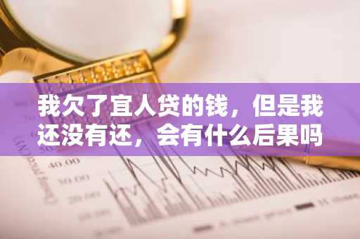 我欠了宜人贷的钱，但是我还没有还，会有什么后果吗？