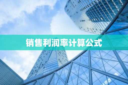 销售利润率计算公式