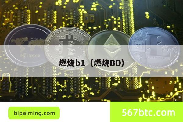 燃烧b1（燃烧BD）