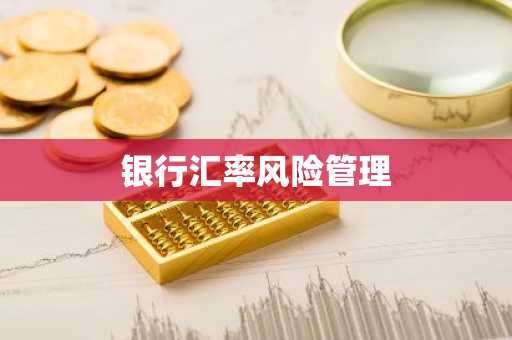 银行汇率风险管理