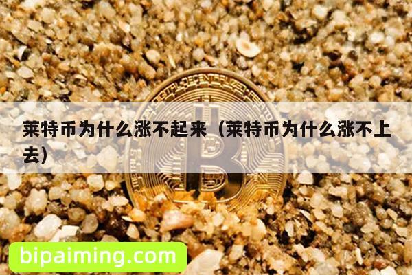 莱特币为什么涨不起来（莱特币为什么涨不上去）