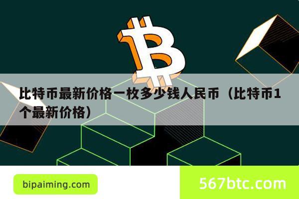 比特币最新价格一枚多少钱人民币（比特币1个最新价格）