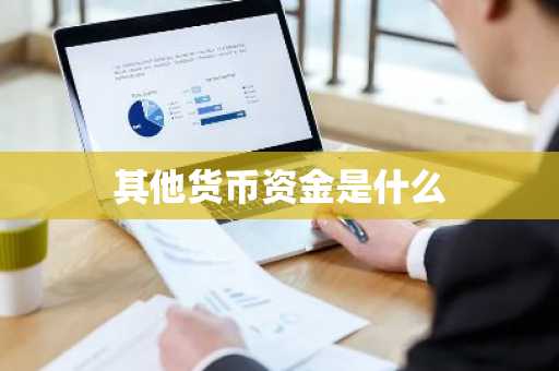 其他货币资金是什么