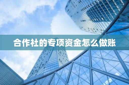 合作社的专项资金怎么做账