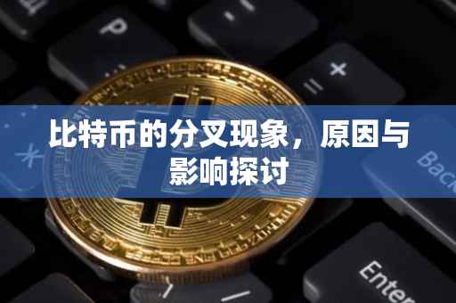 比特币的分叉现象，原因与影响探讨