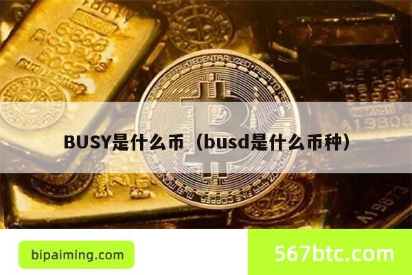 BUSY是什么币（busd是什么币种）