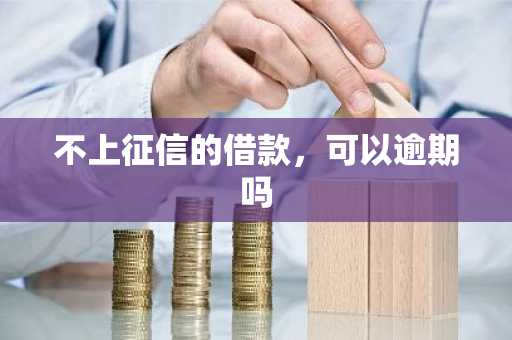 不上征信的借款，可以逾期吗
