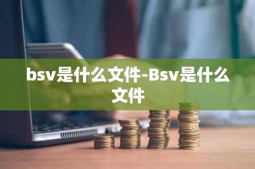 bsv是什么文件-Bsv是什么文件