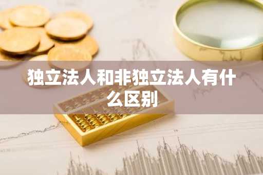 独立法人和非独立法人有什么区别