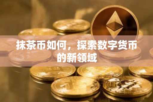 抹茶币如何，探索数字货币的新领域