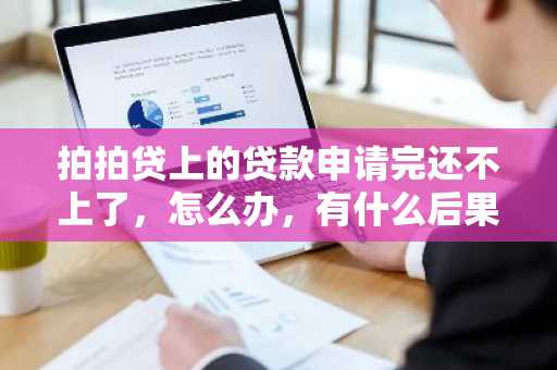 拍拍贷上的贷款申请完还不上了，怎么办，有什么后果吗？