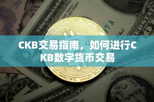 CKB交易指南，如何进行CKB数字货币交易