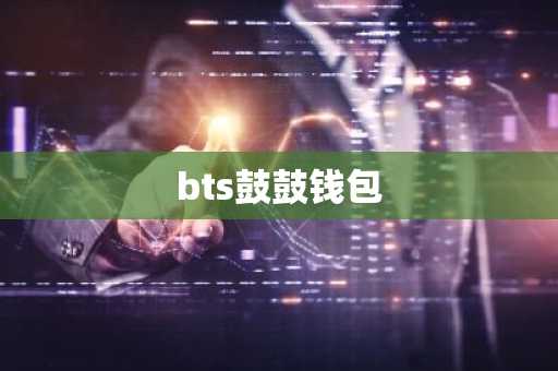 bts鼓鼓钱包