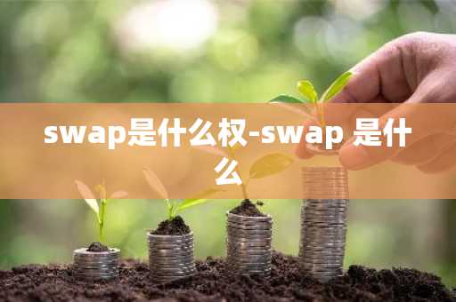swap是什么权-swap 是什么