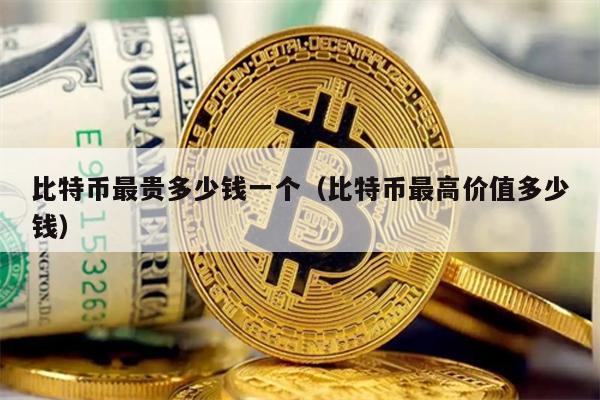 比特币最贵多少钱一个（比特币最高价值多少钱）