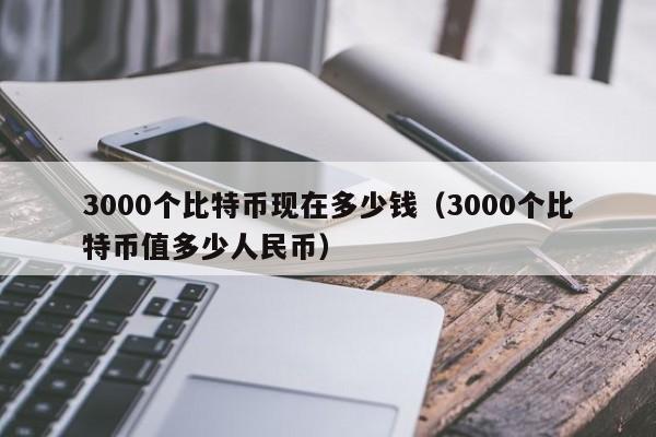 3000个比特币现在多少钱（3000个比特币值多少人民币）