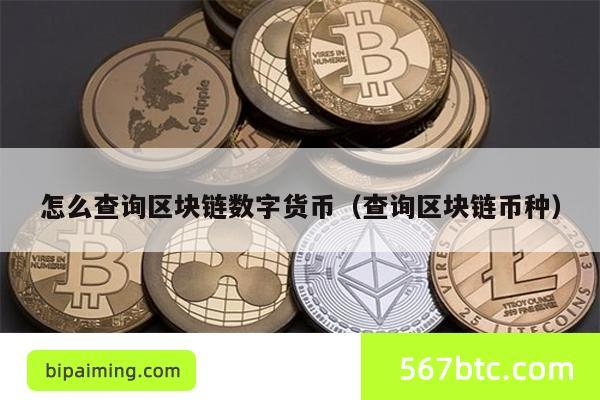 怎么查询区块链数字货币（查询区块链币种）
