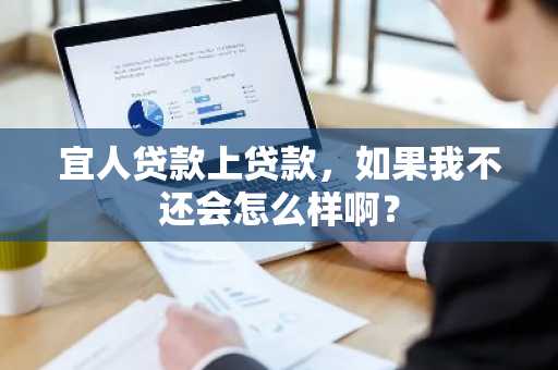 宜人贷款上贷款，如果我不还会怎么样啊？