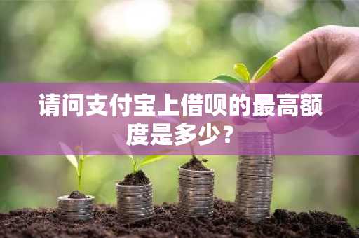 请问支付宝上借呗的最高额度是多少？