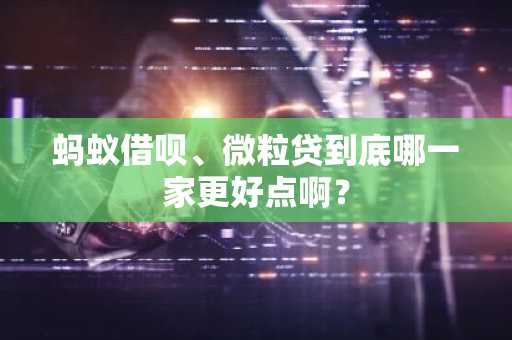 蚂蚁借呗、微粒贷到底哪一家更好点啊？