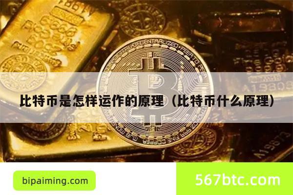 比特币是怎样运作的原理（比特币什么原理）