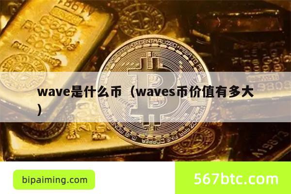 wave是什么币（waves币价值有多大）