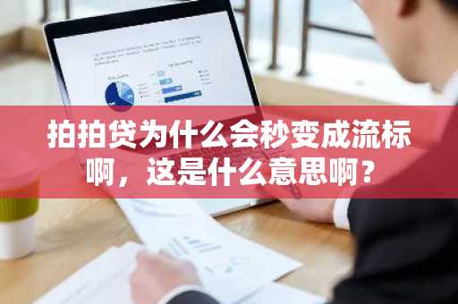 拍拍贷为什么会秒变成流标啊，这是什么意思啊？