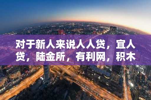 对于新人来说人人贷，宜人贷，陆金所，有利网，积木盒子，红岭创投选择哪个比较好呢？