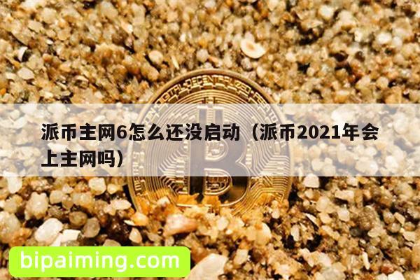 派币主网6怎么还没启动（派币2021年会上主网吗）