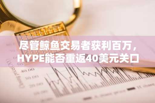 尽管鲸鱼交易者获利百万，HYPE能否重返40美元关口成悬念