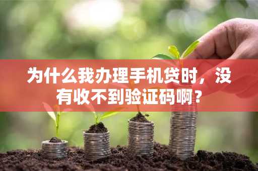 为什么我办理手机贷时，没有收不到验证码啊？