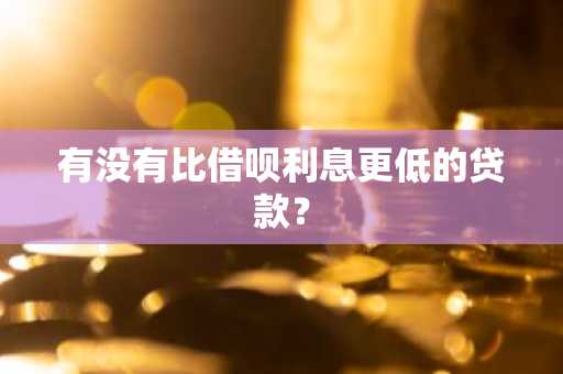 有没有比借呗利息更低的贷款？