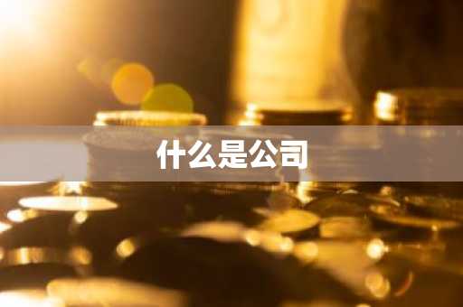 什么是公司